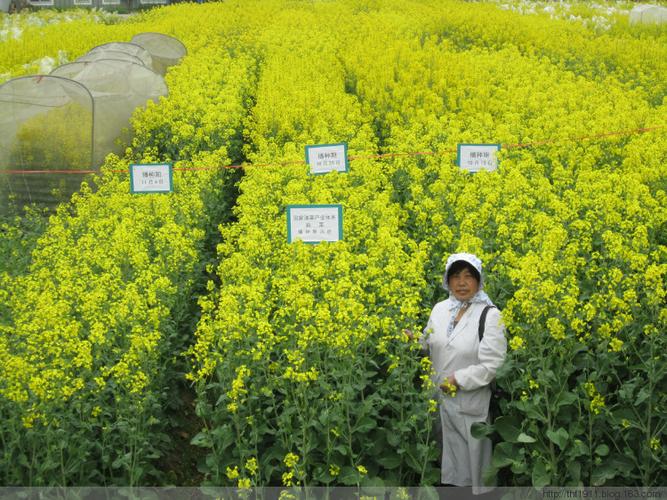 浙江省农业科学院——作物与核技术利用研究所水稻育种室