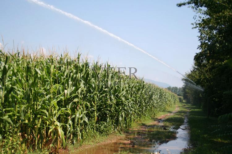 农业灌溉系统用于灌溉玉米田